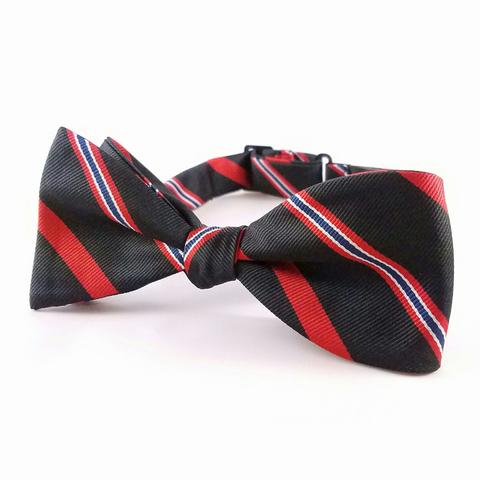 Bow Tie, With Regimental Colors